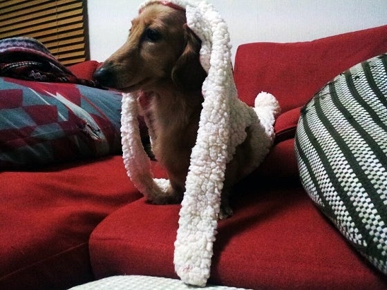 鉄　は　熱　い　う　ち　に　打　て　　　　(*ﾟ∀ﾟ)=3ﾑｯﾊｰ