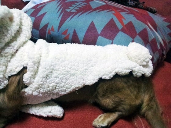 鉄　は　熱　い　う　ち　に　打　て　　　　(*ﾟ∀ﾟ)=3ﾑｯﾊｰ