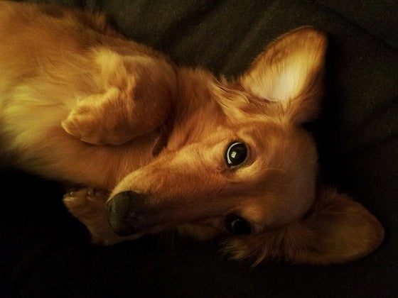 鉄　は　熱　い　う　ち　に　打　て　　　　(*ﾟ∀ﾟ)=3ﾑｯﾊｰ