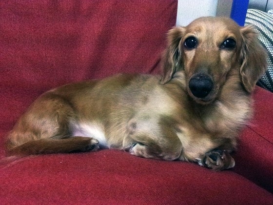 鉄　は　熱　い　う　ち　に　打　て　　　　(*ﾟ∀ﾟ)=3ﾑｯﾊｰ