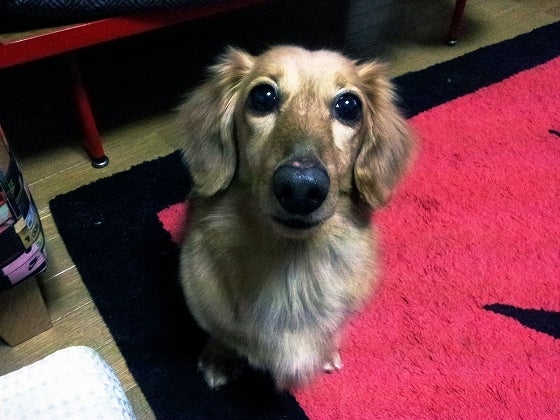 鉄　は　熱　い　う　ち　に　打　て　　　　(*ﾟ∀ﾟ)=3ﾑｯﾊｰ