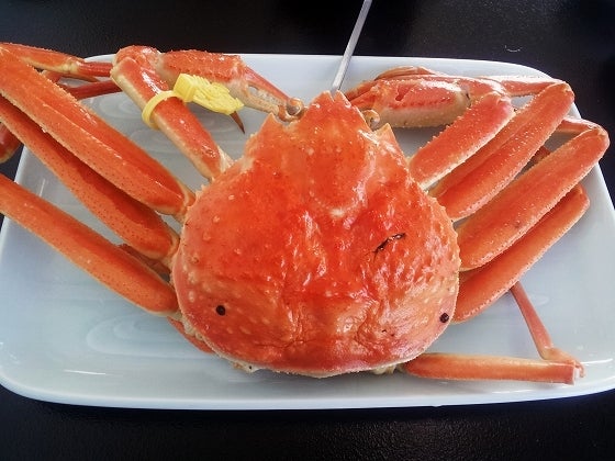 鉄　は　熱　い　う　ち　に　打　て　　　　(*ﾟ∀ﾟ)=3ﾑｯﾊｰ