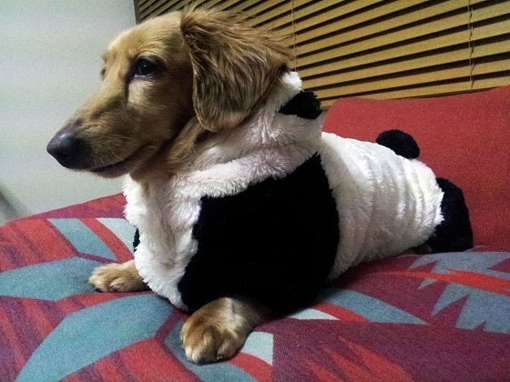 鉄　は　熱　い　う　ち　に　打　て　　　　(*ﾟ∀ﾟ)=3ﾑｯﾊｰ