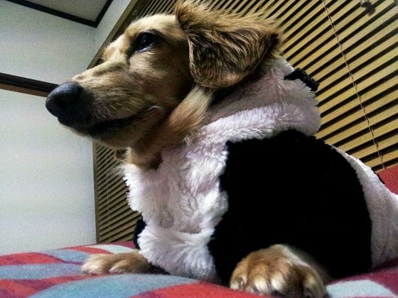 鉄　は　熱　い　う　ち　に　打　て　　　　(*ﾟ∀ﾟ)=3ﾑｯﾊｰ