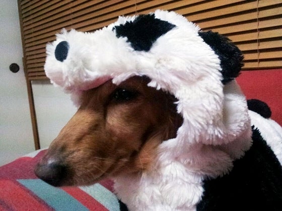 鉄　は　熱　い　う　ち　に　打　て　　　　(*ﾟ∀ﾟ)=3ﾑｯﾊｰ