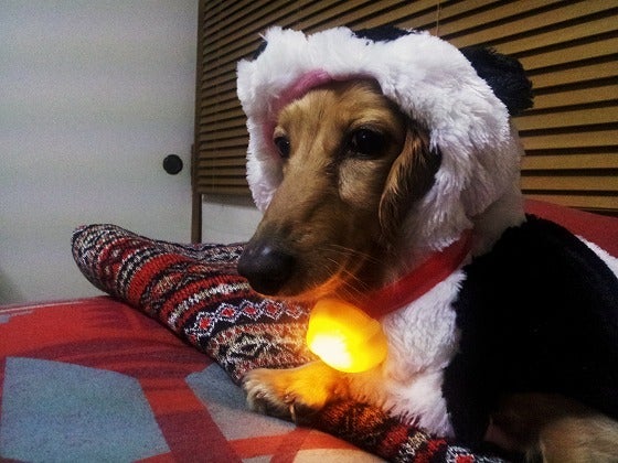 鉄　は　熱　い　う　ち　に　打　て　　　　(*ﾟ∀ﾟ)=3ﾑｯﾊｰ