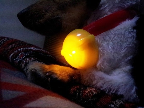 鉄　は　熱　い　う　ち　に　打　て　　　　(*ﾟ∀ﾟ)=3ﾑｯﾊｰ