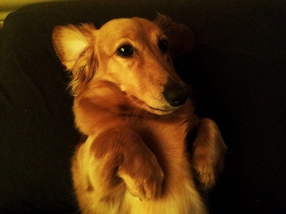 鉄　は　熱　い　う　ち　に　打　て　　　　(*ﾟ∀ﾟ)=3ﾑｯﾊｰ