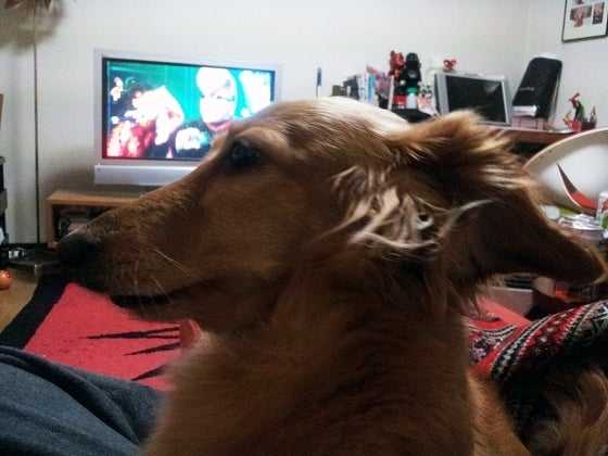 鉄　は　熱　い　う　ち　に　打　て　　　　(*ﾟ∀ﾟ)=3ﾑｯﾊｰ