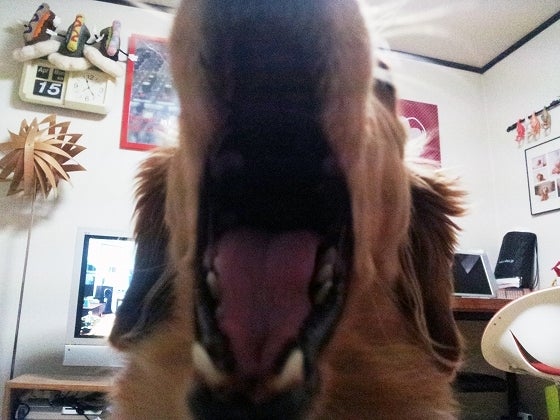 鉄　は　熱　い　う　ち　に　打　て　　　　(*ﾟ∀ﾟ)=3ﾑｯﾊｰ