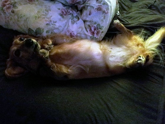 鉄　は　熱　い　う　ち　に　打　て　　　　(*ﾟ∀ﾟ)=3ﾑｯﾊｰ