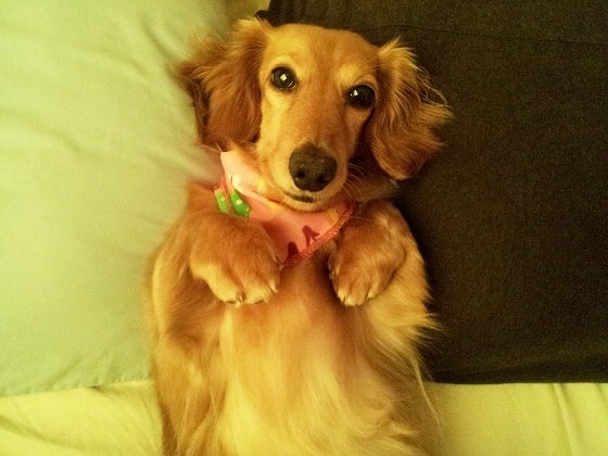 鉄　は　熱　い　う　ち　に　打　て　　　　(*ﾟ∀ﾟ)=3ﾑｯﾊｰ