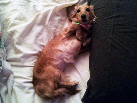 鉄　は　熱　い　う　ち　に　打　て　　　　(*ﾟ∀ﾟ)=3ﾑｯﾊｰ