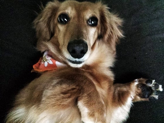 鉄　は　熱　い　う　ち　に　打　て　　　　(*ﾟ∀ﾟ)=3ﾑｯﾊｰ