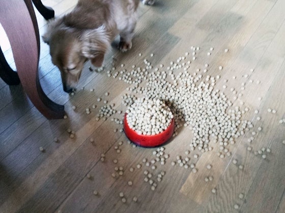 鉄　は　熱　い　う　ち　に　打　て　　　　(*ﾟ∀ﾟ)=3ﾑｯﾊｰ