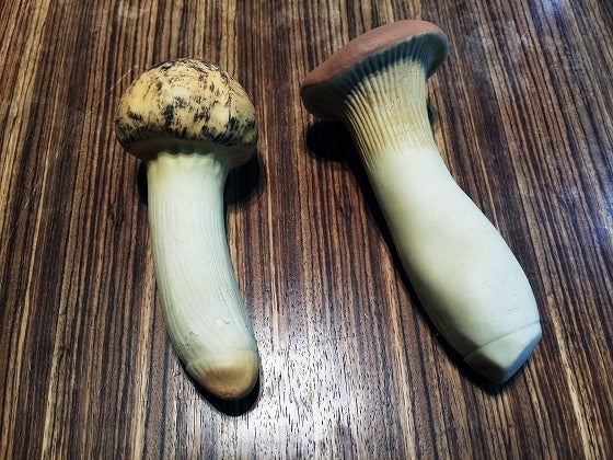 鉄　は　熱　い　う　ち　に　打　て　　　　(*ﾟ∀ﾟ)=3ﾑｯﾊｰ