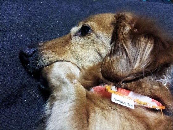 鉄　は　熱　い　う　ち　に　打　て　　　　(*ﾟ∀ﾟ)=3ﾑｯﾊｰ