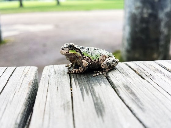 鉄　は　熱　い　う　ち　に　打　て　　　　(*ﾟ∀ﾟ)=3ﾑｯﾊｰ