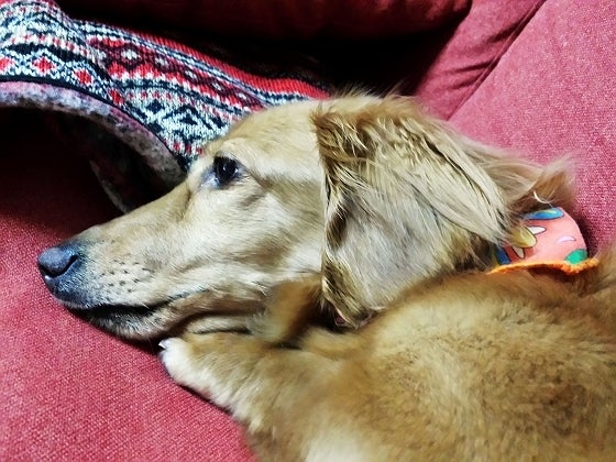 鉄　は　熱　い　う　ち　に　打　て　　　　(*ﾟ∀ﾟ)=3ﾑｯﾊｰ