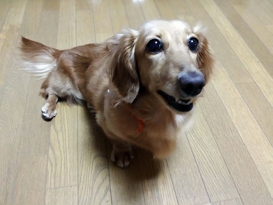 鉄　は　熱　い　う　ち　に　打　て　　　　(*ﾟ∀ﾟ)=3ﾑｯﾊｰ