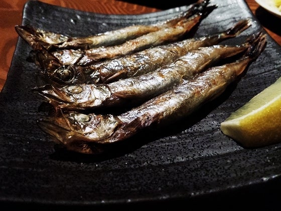 鉄　は　熱　い　う　ち　に　打　て　　　　(*ﾟ∀ﾟ)=3ﾑｯﾊｰ