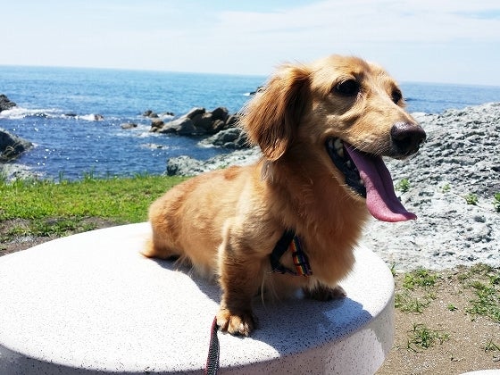 鉄　は　熱　い　う　ち　に　打　て　　　　(*ﾟ∀ﾟ)=3ﾑｯﾊｰ