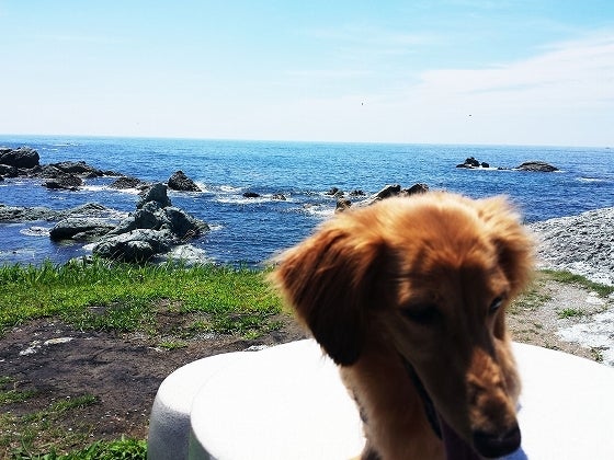 鉄　は　熱　い　う　ち　に　打　て　　　　(*ﾟ∀ﾟ)=3ﾑｯﾊｰ