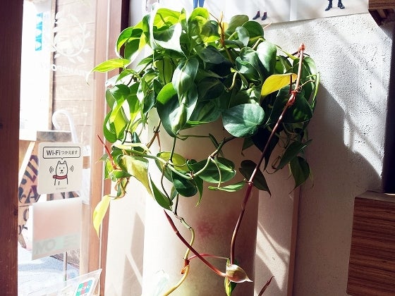 鉄　は　熱　い　う　ち　に　打　て　　　　(*ﾟ∀ﾟ)=3ﾑｯﾊｰ