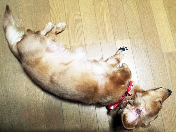 鉄　は　熱　い　う　ち　に　打　て　　　　(*ﾟ∀ﾟ)=3ﾑｯﾊｰ