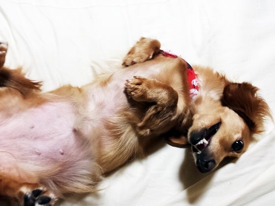 鉄　は　熱　い　う　ち　に　打　て　　　　(*ﾟ∀ﾟ)=3ﾑｯﾊｰ