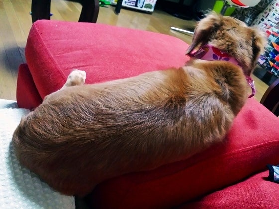 鉄 は 熱 い う ち に 打 て (*゚∀゚)=3ムッハー