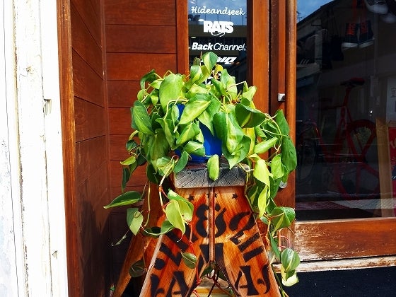 鉄　は　熱　い　う　ち　に　打　て　　　　(*ﾟ∀ﾟ)=3ﾑｯﾊｰ