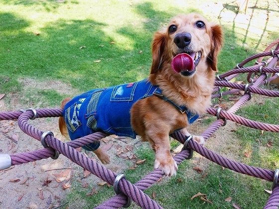 鉄　は　熱　い　う　ち　に　打　て　　　　(*ﾟ∀ﾟ)=3ﾑｯﾊｰ