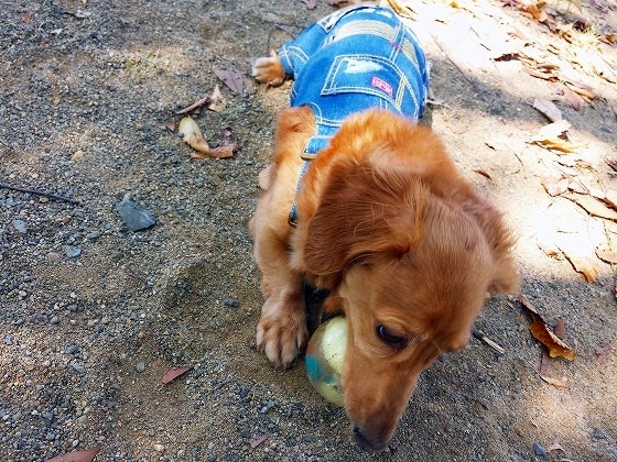 鉄　は　熱　い　う　ち　に　打　て　　　　(*ﾟ∀ﾟ)=3ﾑｯﾊｰ