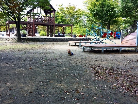 鉄　は　熱　い　う　ち　に　打　て　　　　(*ﾟ∀ﾟ)=3ﾑｯﾊｰ