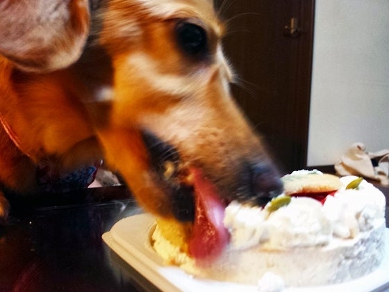 鉄　は　熱　い　う　ち　に　打　て　　　　(*ﾟ∀ﾟ)=3ﾑｯﾊｰ