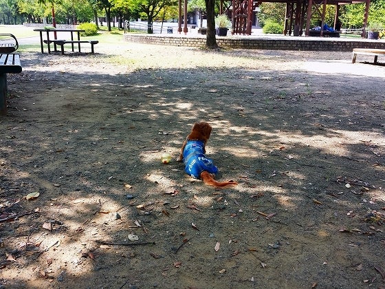 鉄　は　熱　い　う　ち　に　打　て　　　　(*ﾟ∀ﾟ)=3ﾑｯﾊｰ