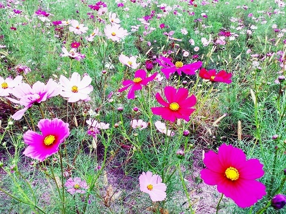 鉄　は　熱　い　う　ち　に　打　て　　　　(*ﾟ∀ﾟ)=3ﾑｯﾊｰ