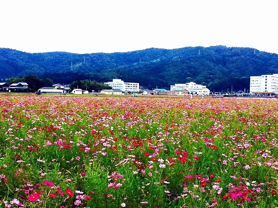 鉄　は　熱　い　う　ち　に　打　て　　　　(*ﾟ∀ﾟ)=3ﾑｯﾊｰ