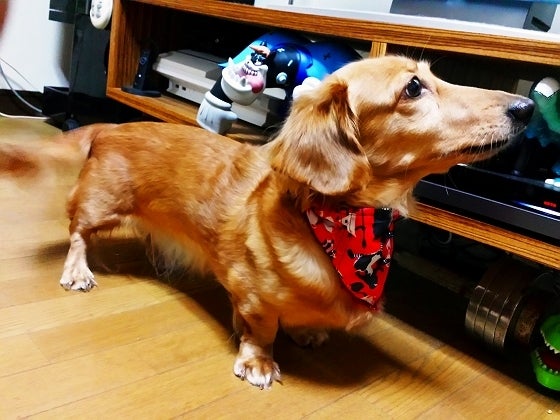 鉄　は　熱　い　う　ち　に　打　て　　　　(*ﾟ∀ﾟ)=3ﾑｯﾊｰ