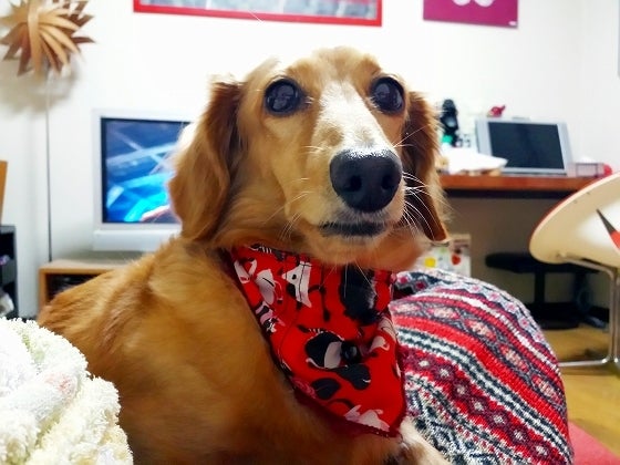 鉄　は　熱　い　う　ち　に　打　て　　　　(*ﾟ∀ﾟ)=3ﾑｯﾊｰ