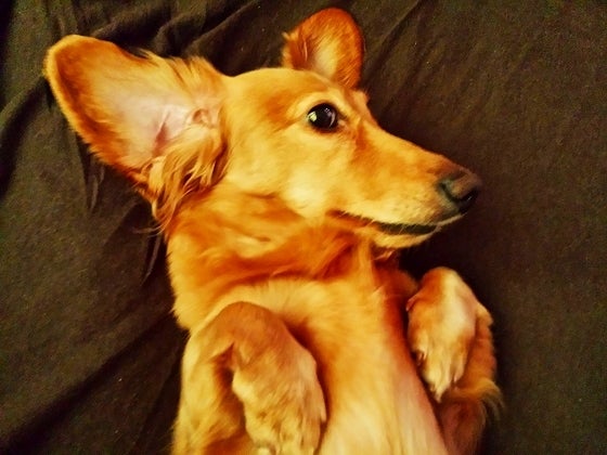 鉄 は 熱 い う ち に 打 て (*゚∀゚)=3ムッハー