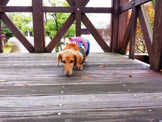 鉄　は　熱　い　う　ち　に　打　て　　　　(*ﾟ∀ﾟ)=3ﾑｯﾊｰ