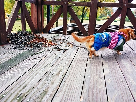 鉄　は　熱　い　う　ち　に　打　て　　　　(*ﾟ∀ﾟ)=3ﾑｯﾊｰ