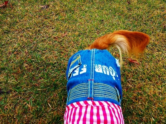 鉄　は　熱　い　う　ち　に　打　て　　　　(*ﾟ∀ﾟ)=3ﾑｯﾊｰ