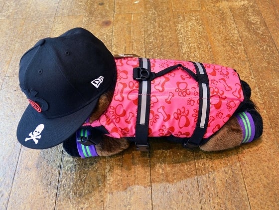 鉄　は　熱　い　う　ち　に　打　て　　　　(*ﾟ∀ﾟ)=3ﾑｯﾊｰ