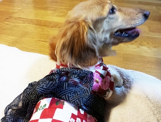 鉄　は　熱　い　う　ち　に　打　て　　　　(*ﾟ∀ﾟ)=3ﾑｯﾊｰ