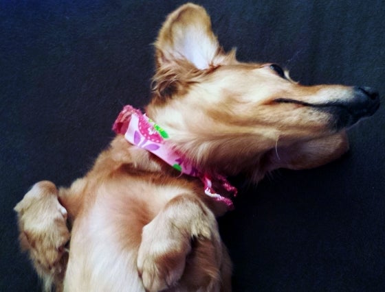 鉄　は　熱　い　う　ち　に　打　て　　　　(*ﾟ∀ﾟ)=3ﾑｯﾊｰ