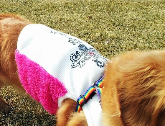 鉄　は　熱　い　う　ち　に　打　て　　　　(*ﾟ∀ﾟ)=3ﾑｯﾊｰ