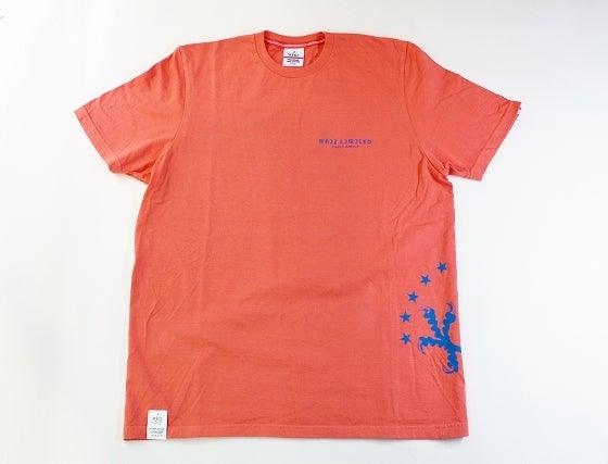 鉄　は　熱　い　う　ち　に　打　て　　　　(*ﾟ∀ﾟ)=3ﾑｯﾊｰ